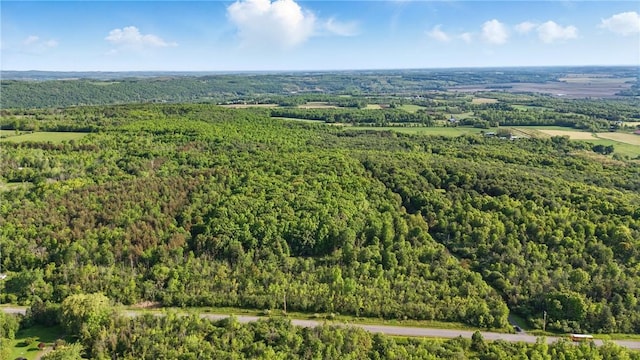 W Sherman Hollow Rd, Jerusalem, NY 14418