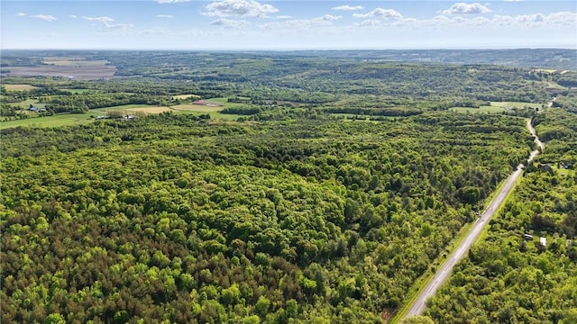 W Sherman Hollow Rd, Jerusalem, NY 14418