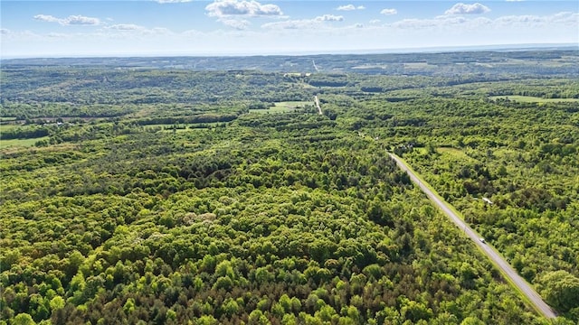 W Sherman Hollow Rd, Jerusalem, NY 14418