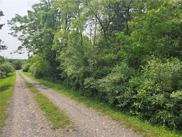 W Sherman Hollow Rd, Jerusalem, NY 14418