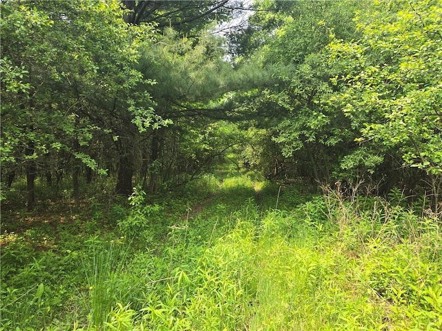 W Sherman Hollow Rd, Jerusalem, NY 14418