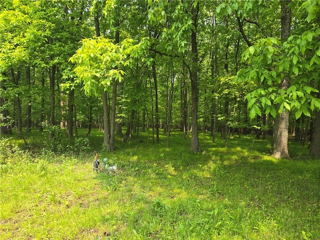 W Sherman Hollow Rd, Jerusalem, NY 14418