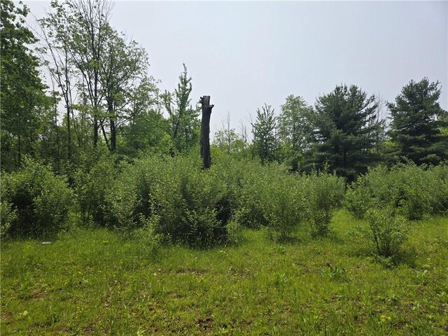 W Sherman Hollow Rd, Jerusalem, NY 14418