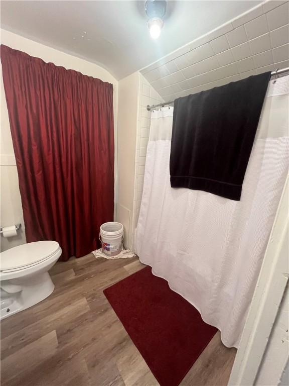 204 Fairgate St, Rochester, NY 14606 - bathroom with toilet, wood finished floors, lofted ceiling, and a shower with shower curtain