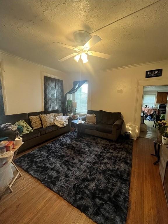 204 Fairgate St, Rochester, NY 14606 - living area with a textured ceiling, wood finished floors, ceiling fan, and crown molding