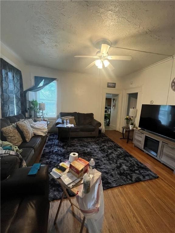 204 Fairgate St, Rochester, NY 14606 - living area featuring a textured ceiling, wood finished floors, ceiling fan, and ornamental molding