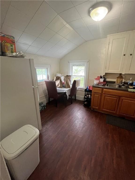204 Fairgate St, Rochester, NY 14606 - dining area with dark wood-style flooring, lofted ceiling, and healthy amount of natural light