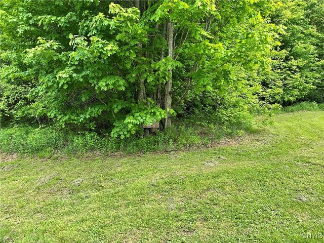 21 Church St, Fine, NY 13617 - view of undeveloped land