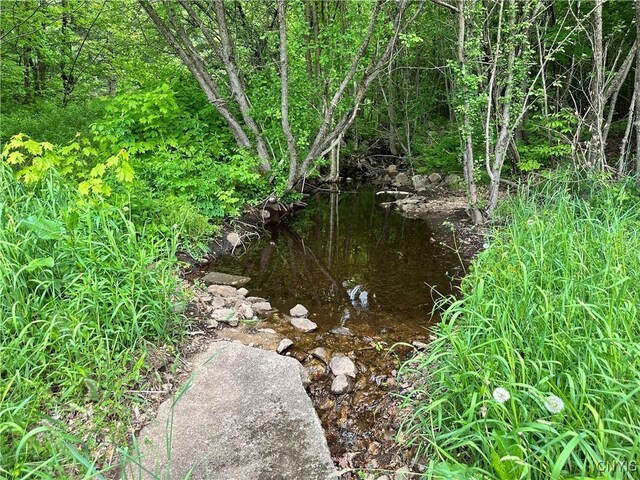 21 Church St, Fine, NY 13617 - view of undeveloped land