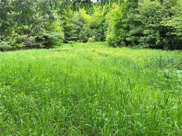 21 Church St, Fine, NY 13617 - view of local wilderness