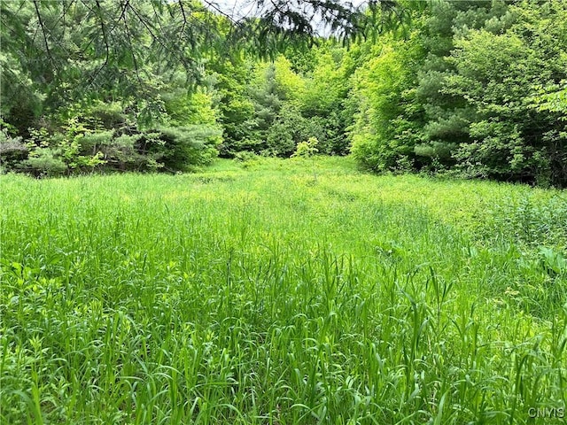 21 Church St, Fine, NY 13617 - view of woods