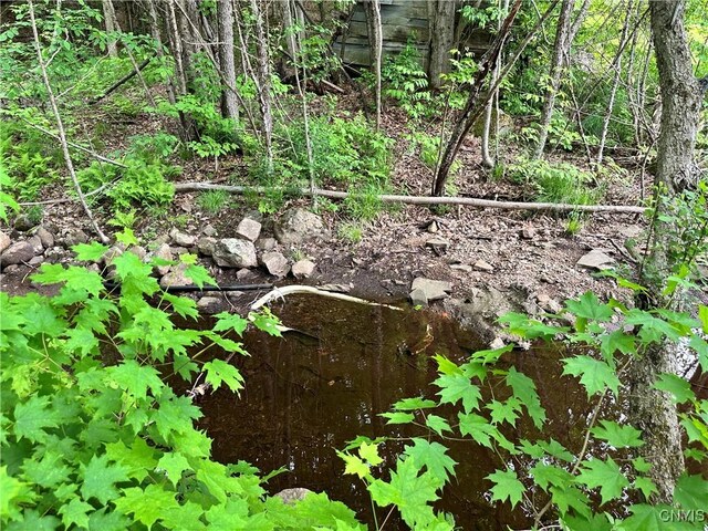 21 Church St, Fine, NY 13617 - view of nature