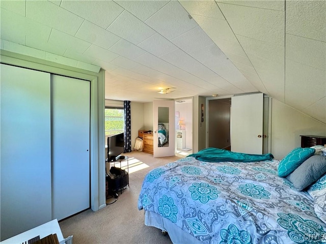 5812 S Street Rd, Fleming, NY 13021 - bedroom featuring carpet floors and a closet