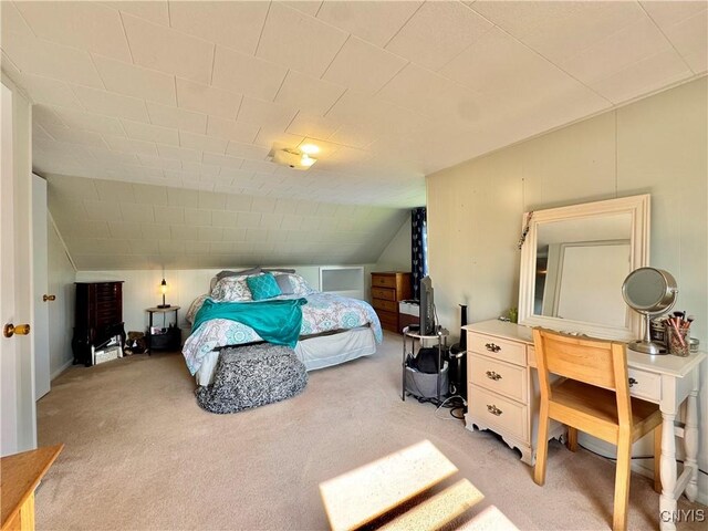 5812 S Street Rd, Fleming, NY 13021 - bedroom with light carpet and vaulted ceiling