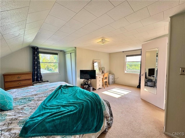 5812 S Street Rd, Fleming, NY 13021 - bedroom with carpet flooring and lofted ceiling