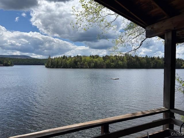 247 Maple Lodge Rd, Indian Lake, NY 12812 - photo 4