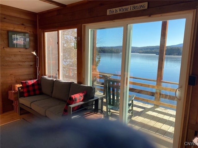247 Maple Lodge Rd, Indian Lake, NY 12812 - photo 10