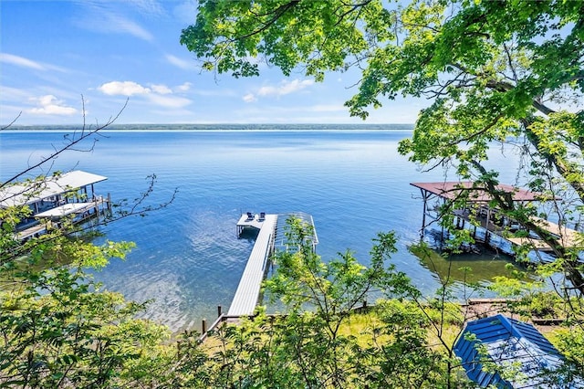 5543 Rt-89, Varick, NY 14521 - dock area with a water view