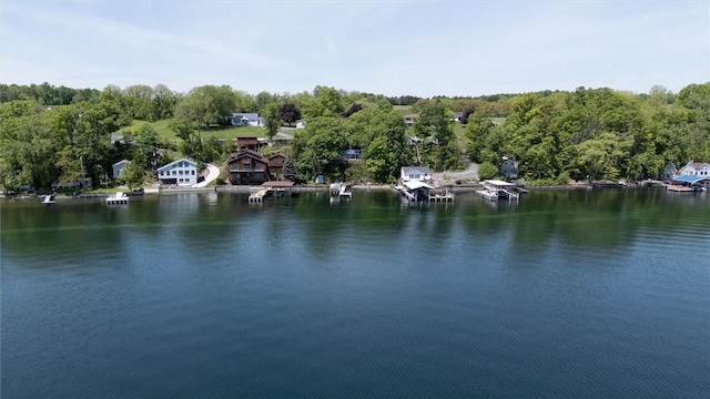 5543 Rt-89, Varick, NY 14521 - water view