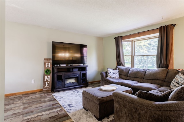 44 Hidden Creek Ln, Hamlin, NY 14464 - living room with wood finished floors, baseboards, and a glass covered fireplace