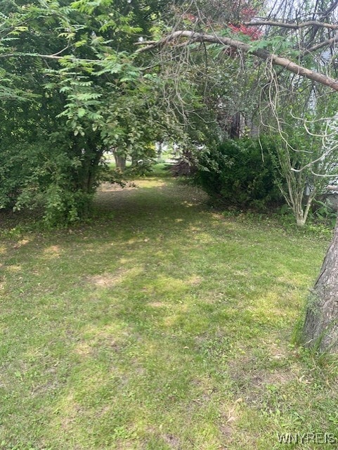 1003 98th St, Niagara Falls, NY 14304 - view of grassy yard