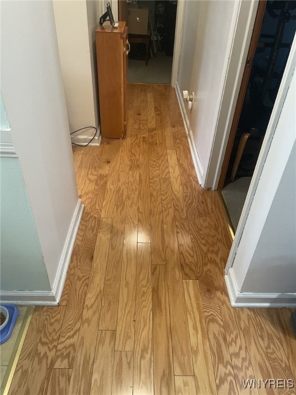1003 98th St, Niagara Falls, NY 14304 - hallway with wood finished floors and baseboards