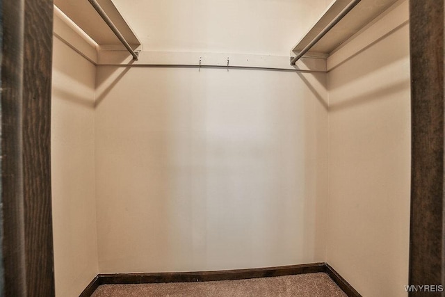 305 Vine Ln, Amherst, NY 14228 - view of walk in closet