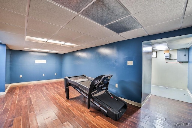 305 Vine Ln, Amherst, NY 14228 - exercise room with hardwood / wood-style floors, a drop ceiling, electric panel, and baseboards