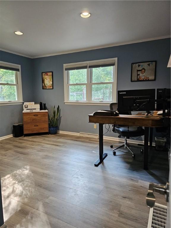 52 Woodland Dr, Big Flats, NY 14814 - office space with ornamental molding, wood finished floors, baseboards, recessed lighting, and baseboard heating