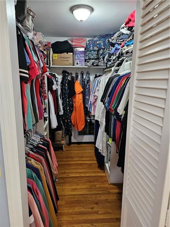 52 Woodland Dr, Big Flats, NY 14814 - walk in closet with wood finished floors