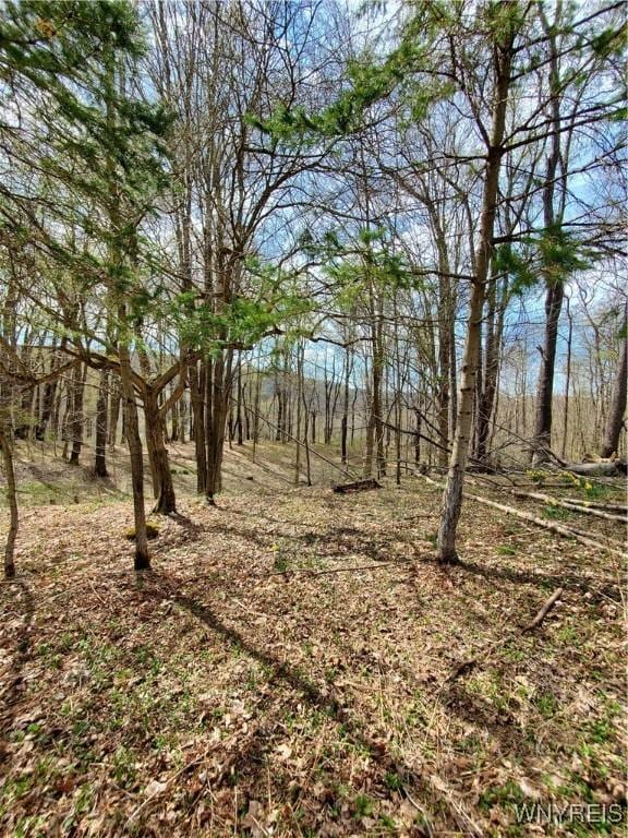7200 Kent Rd, Mansfield, NY 14731 - photo 2