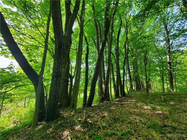 7200 Kent Rd, Mansfield, NY 14731 - photo 5