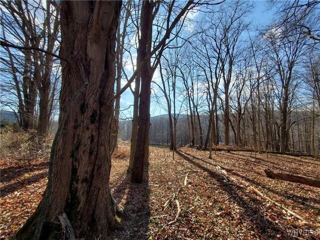 7200 Kent Rd, Mansfield, NY 14731 - photo 7