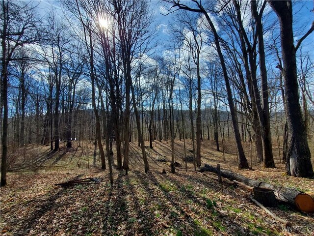 7200 Kent Rd, Mansfield, NY 14731 - photo 8