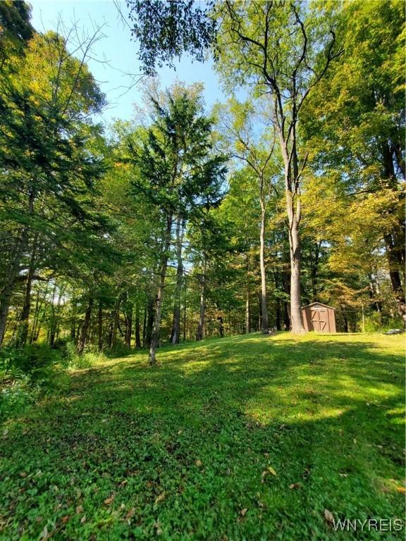 7200 Kent Rd, Mansfield, NY 14731 - photo 11