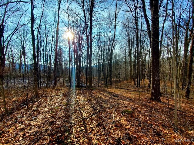 7200 Kent Rd, Mansfield, NY 14731 - photo 12