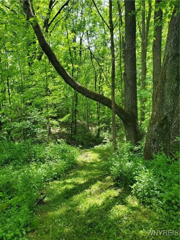 7200 Kent Rd, Mansfield, NY 14731 - photo 13