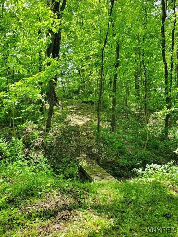 7200 Kent Rd, Mansfield, NY 14731 - photo 14