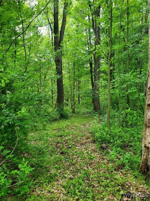 7200 Kent Rd, Mansfield, NY 14731 - photo 15