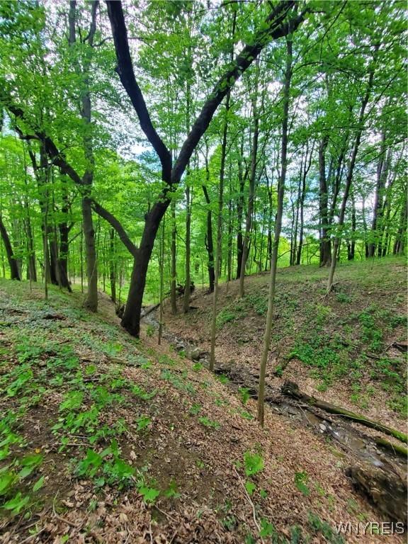 7200 Kent Rd, Mansfield, NY 14731 - photo 16