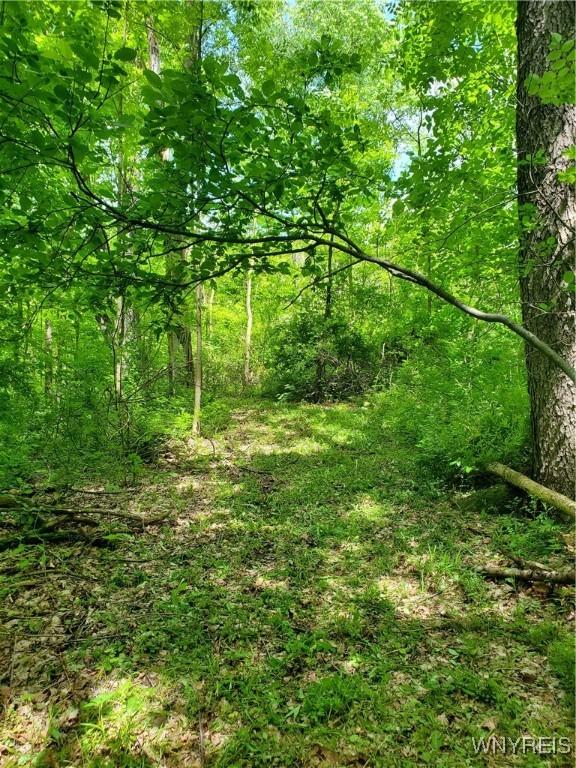 7200 Kent Rd, Mansfield, NY 14731 - photo 17