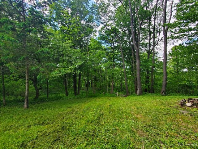 7200 Kent Rd, Mansfield, NY 14731 - photo 18