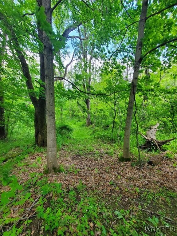 7200 Kent Rd, Mansfield, NY 14731 - photo 20