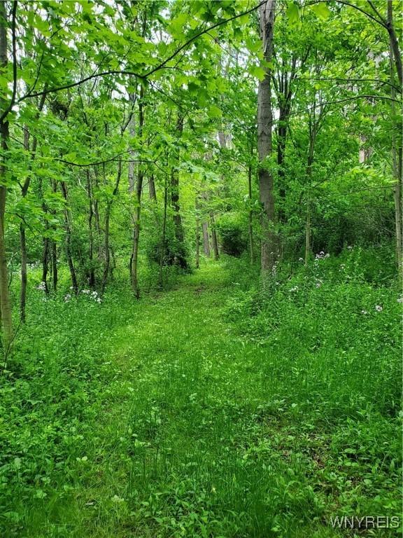 7200 Kent Rd, Mansfield, NY 14731 - photo 21
