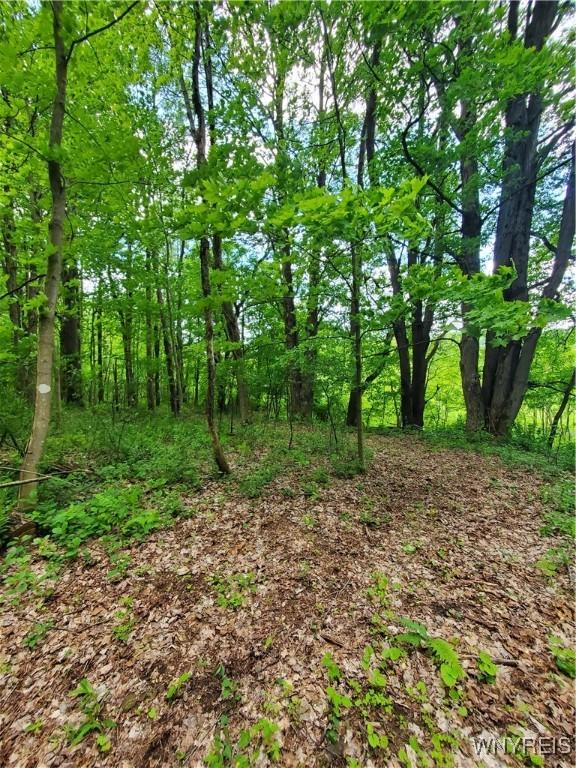 7200 Kent Rd, Mansfield, NY 14731 - photo 23