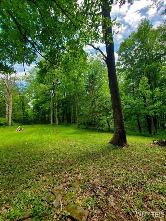 7200 Kent Rd, Mansfield, NY 14731 - photo 40