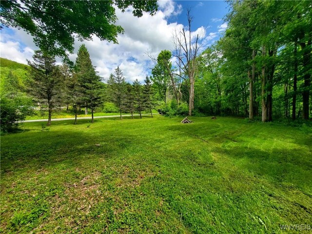 7200 Kent Rd, Mansfield, NY 14731 - photo 41