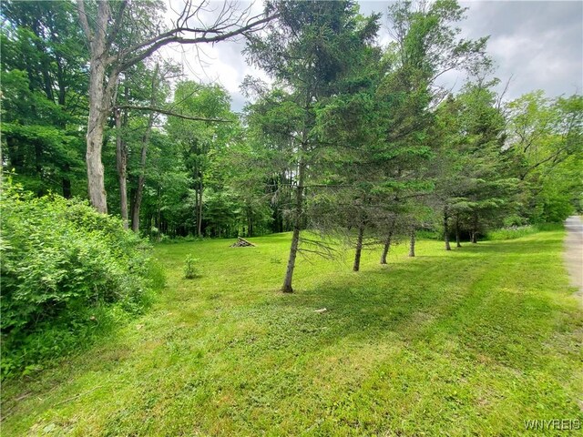 7200 Kent Rd, Mansfield, NY 14731 - photo 42