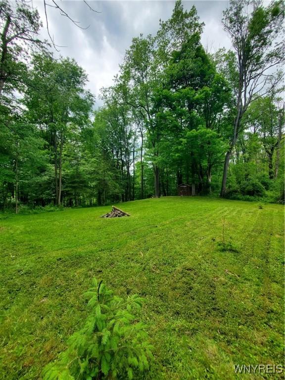 7200 Kent Rd, Mansfield, NY 14731 - photo 43
