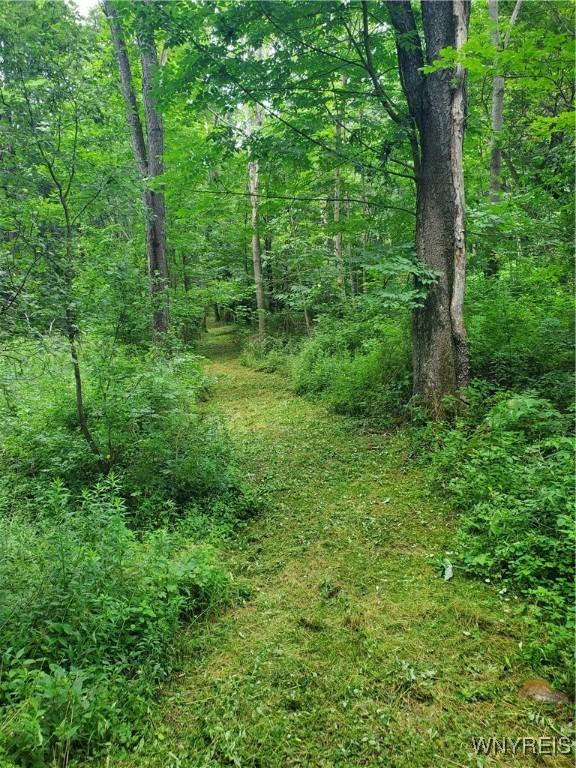 7200 Kent Rd, Mansfield, NY 14731 - photo 46